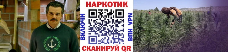 Где купить наркотики Рошаль Cocaine Меф ГАШ Каннабис
