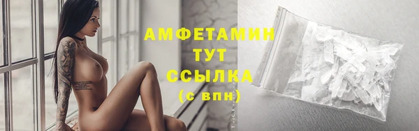 шишки Арсеньев
