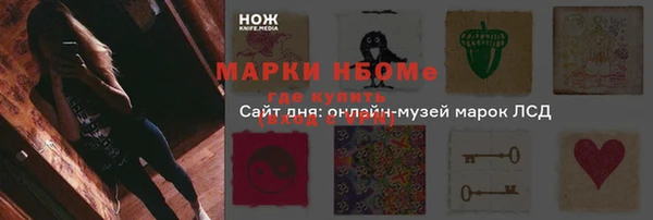 шишки Арсеньев