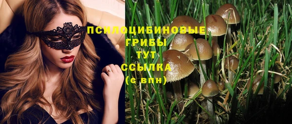 каннабис Аркадак