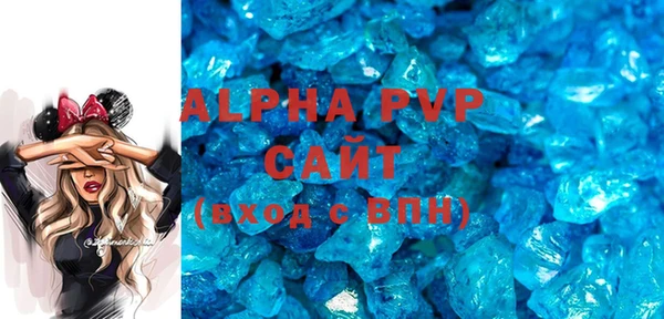 шишки Арсеньев