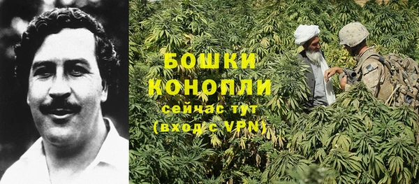 шишки Арсеньев