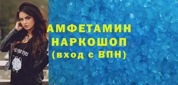 шишки Арсеньев