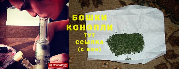 шишки Арсеньев