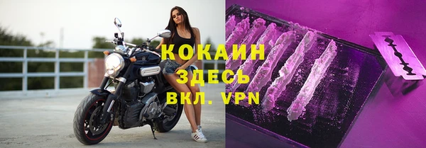 шишки Арсеньев