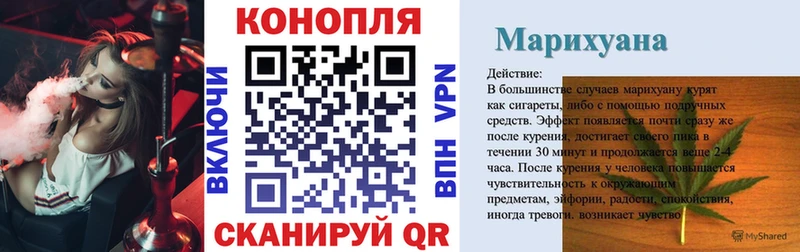 ссылка на мегу рабочий сайт  Рошаль  Конопля сатива 